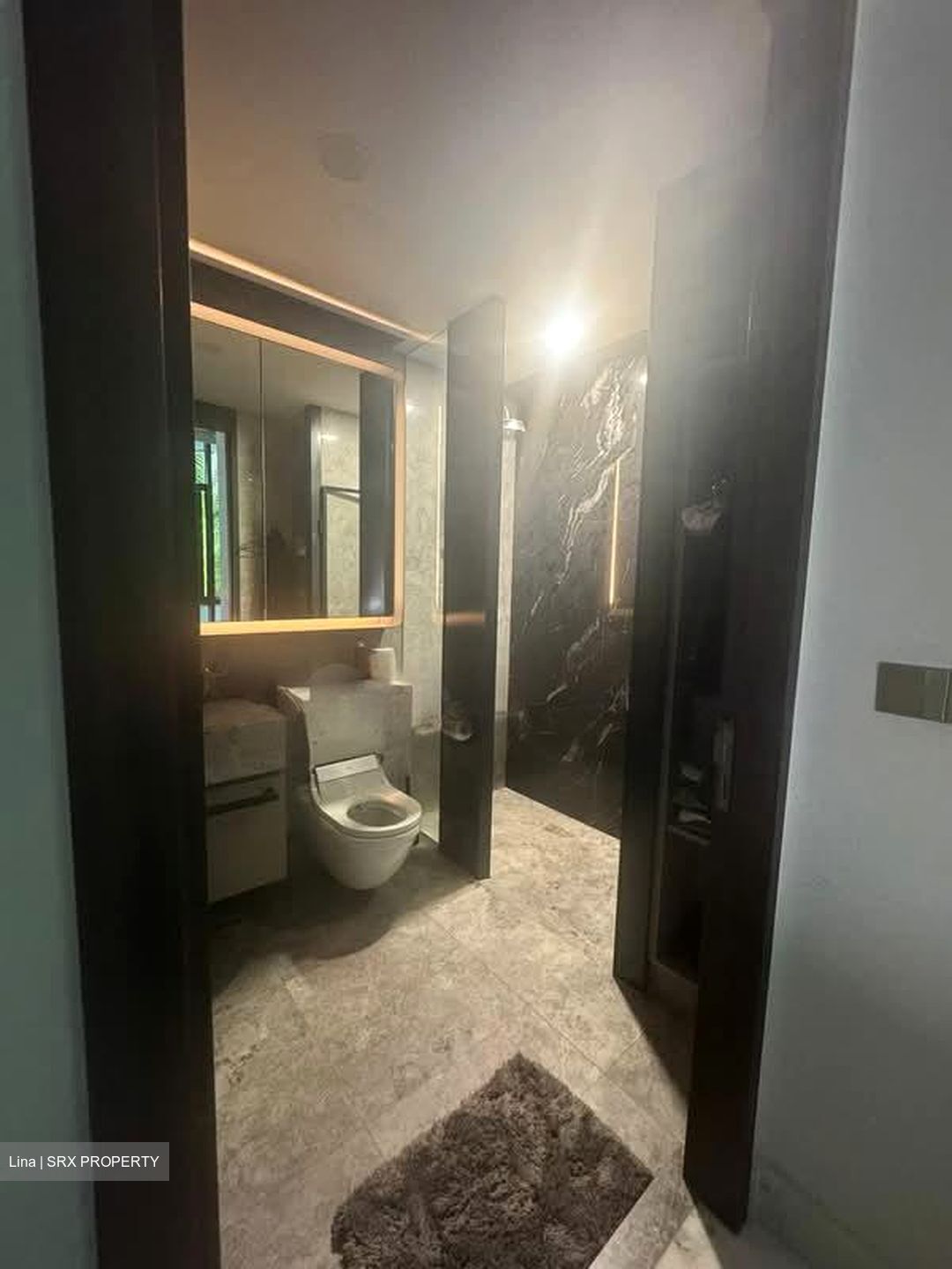 Van Holland (D10), Condominium #567578011